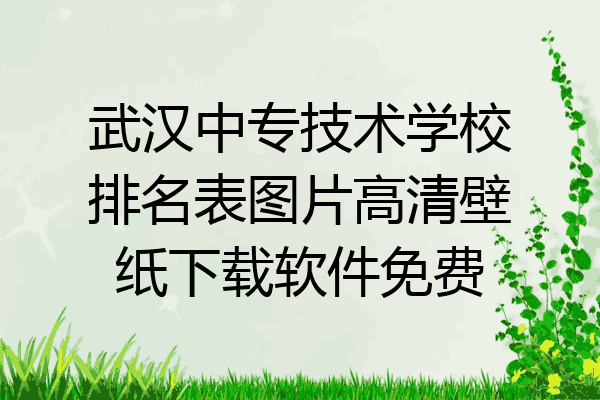 武汉中专技术学校排名表图片高清壁纸下载软件免费