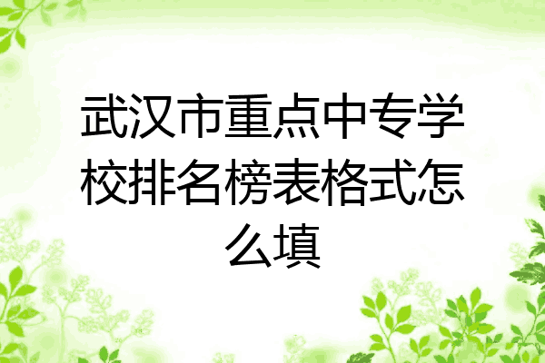 武汉市重点中专学校排名榜表格式怎么填
