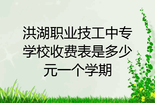 洪湖职业技工中专学校收费表是多少元一个学期