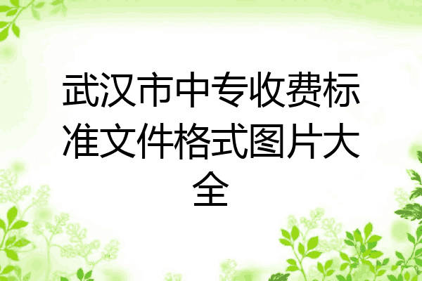 武汉市中专收费标准文件格式图片大全