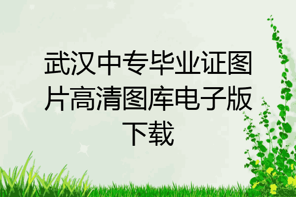武汉中专毕业证图片高清图库电子版下载