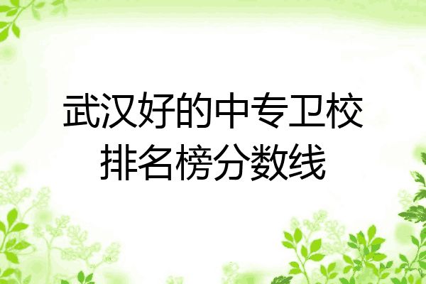 武汉好的中专卫校排名榜分数线