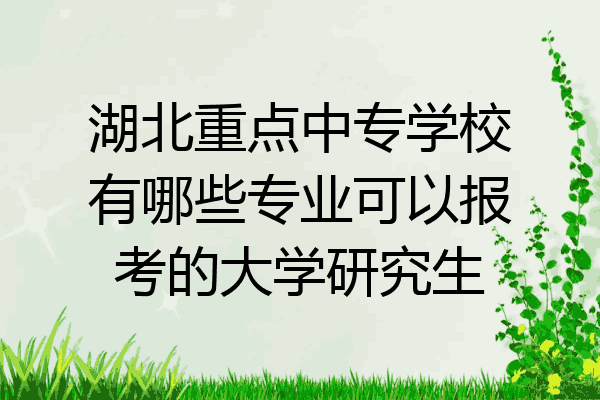 湖北重点中专学校有哪些专业可以报考的大学研究生