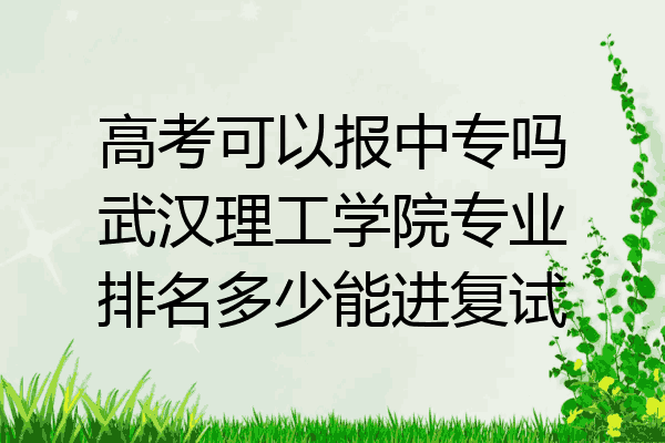 高考可以报中专吗武汉理工学院专业排名多少能进复试