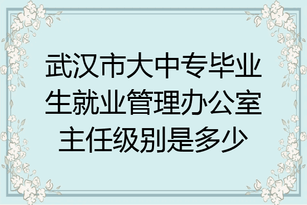 武汉市大中专毕业生就业管理办公室主任级别是多少