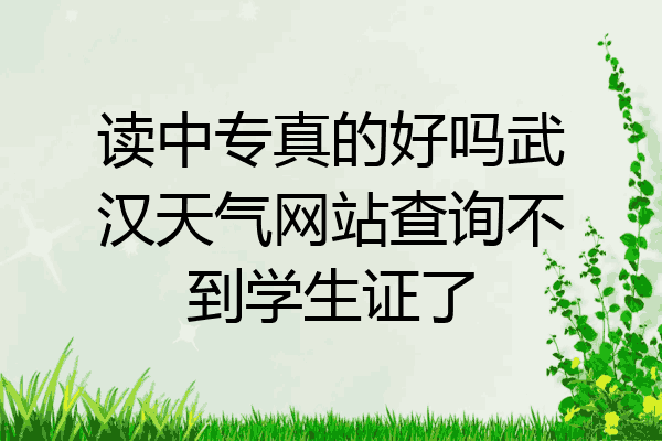 读中专真的好吗武汉天气网站查询不到学生证了