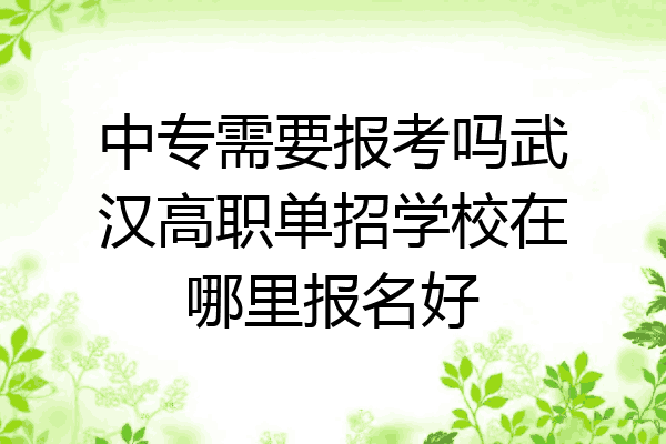 中专需要报考吗武汉高职单招学校在哪里报名好