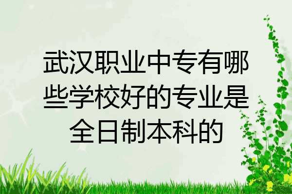武汉职业中专有哪些学校好的专业是全日制本科的