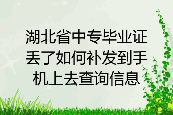 湖北省中专毕业证丢了如何补发到手机上去查询信息