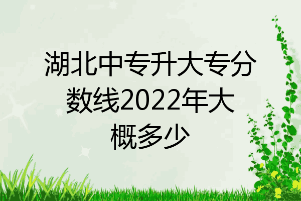 湖北中专升大专分数线2022年大概多少