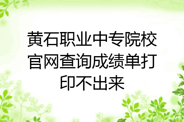 黄石职业中专院校官网查询成绩单打印不出来