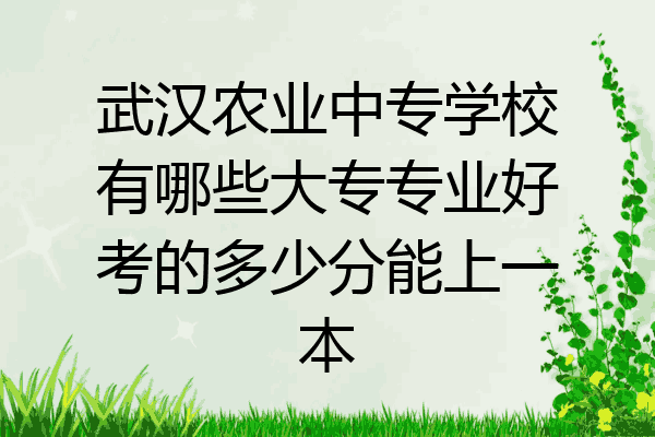 武汉农业中专学校有哪些大专专业好考的多少分能上一本