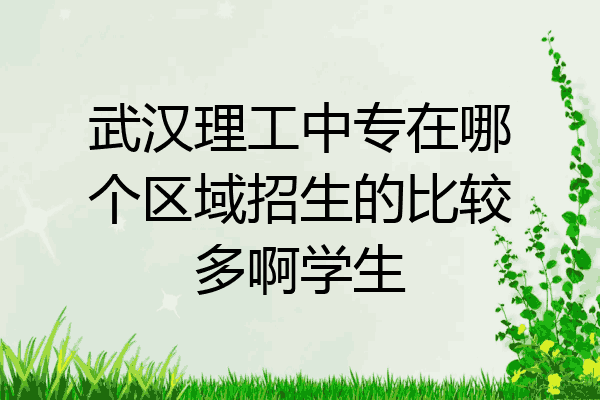 武汉理工中专在哪个区域招生的比较多啊学生