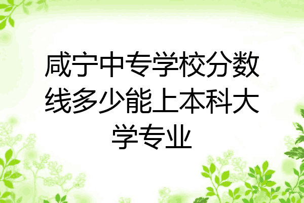 咸宁中专学校分数线多少能上本科大学专业
