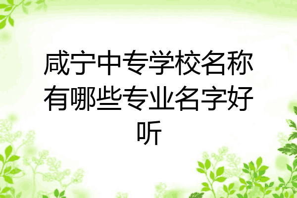 咸宁中专学校名称有哪些专业名字好听