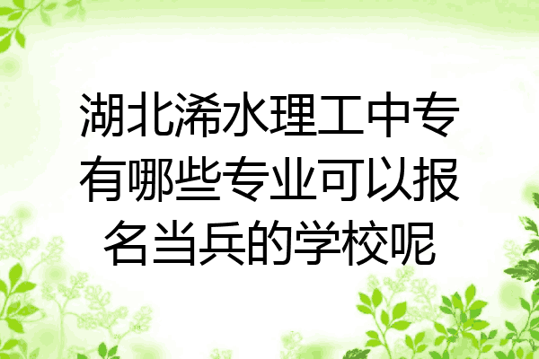 湖北浠水理工中专有哪些专业可以报名当兵的学校呢