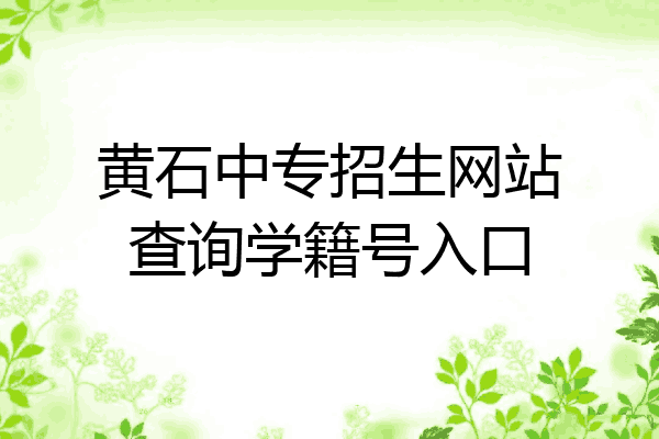 黄石中专招生网站查询学籍号入口