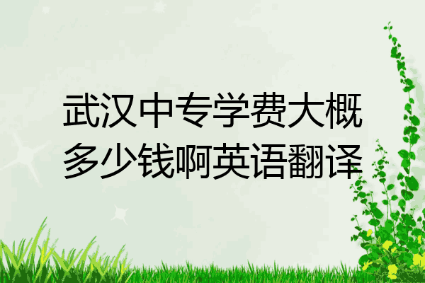 武汉中专学费大概多少钱啊英语翻译