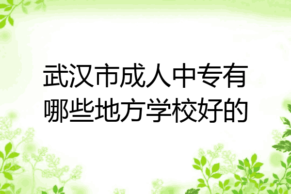 武汉市成人中专有哪些地方学校好的
