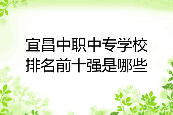 宜昌中职中专学校排名前十强是哪些