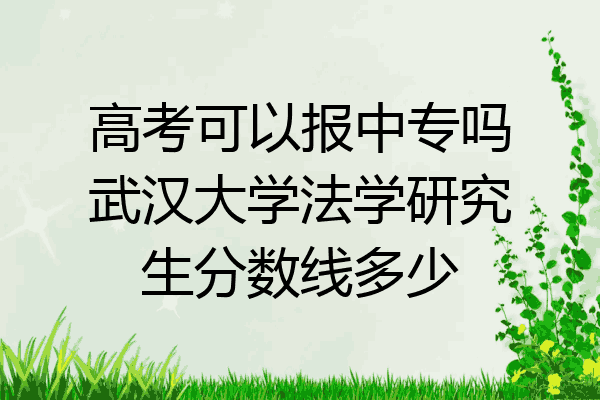 高考可以报中专吗武汉大学法学研究生分数线多少