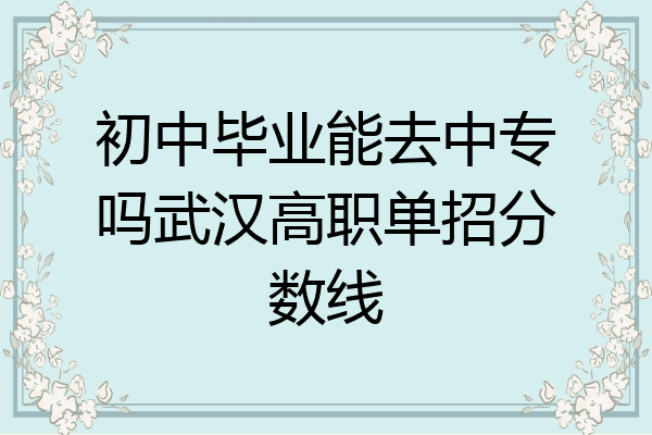 初中毕业能去中专吗武汉高职单招分数线