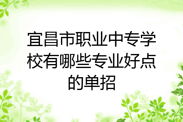 宜昌市职业中专学校有哪些专业好点的单招