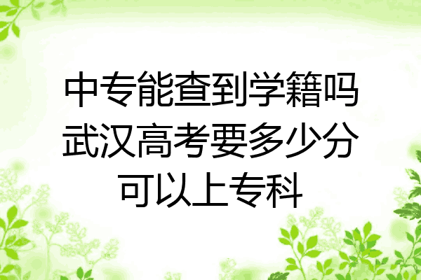 中专能查到学籍吗武汉高考要多少分可以上专科