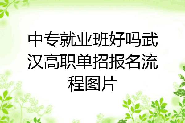 中专就业班好吗武汉高职单招报名流程图片
