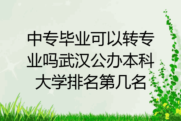 中专毕业可以转专业吗武汉公办本科大学排名第几名