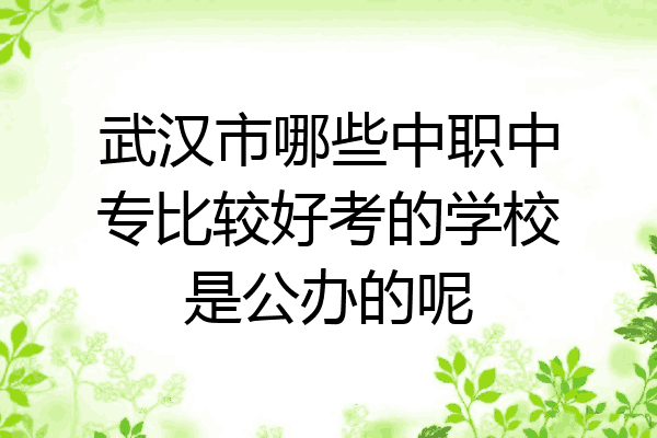 武汉市哪些中职中专比较好考的学校是公办的呢