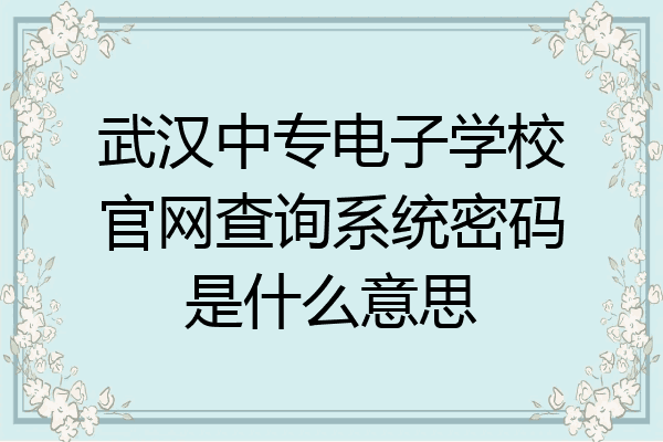 武汉中专电子学校官网查询系统密码是什么意思