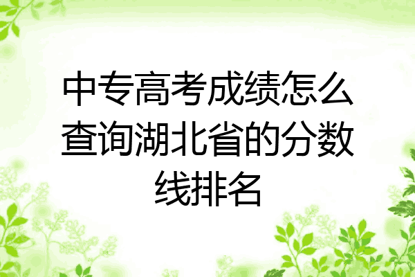 中专高考成绩怎么查询湖北省的分数线排名