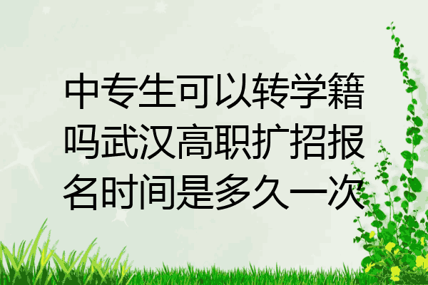 中专生可以转学籍吗武汉高职扩招报名时间是多久一次