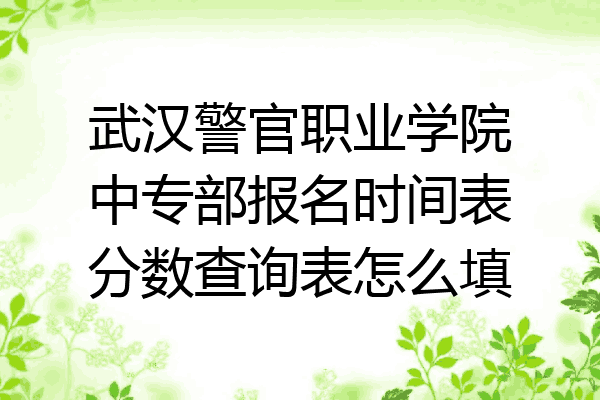 武汉警官职业学院中专部报名时间表分数查询表怎么填