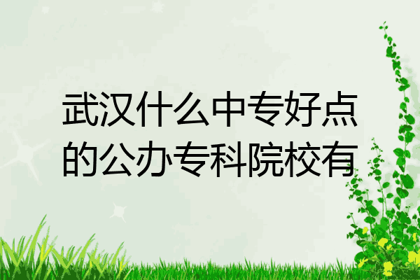 武汉什么中专好点的公办专科院校有