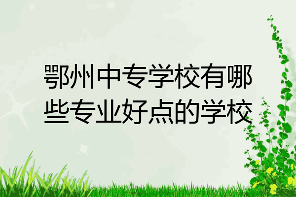 鄂州中专学校有哪些专业好点的学校