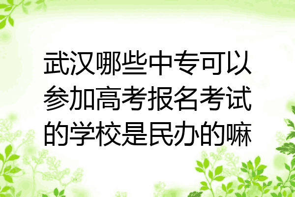 武汉哪些中专可以参加高考报名考试的学校是民办的嘛