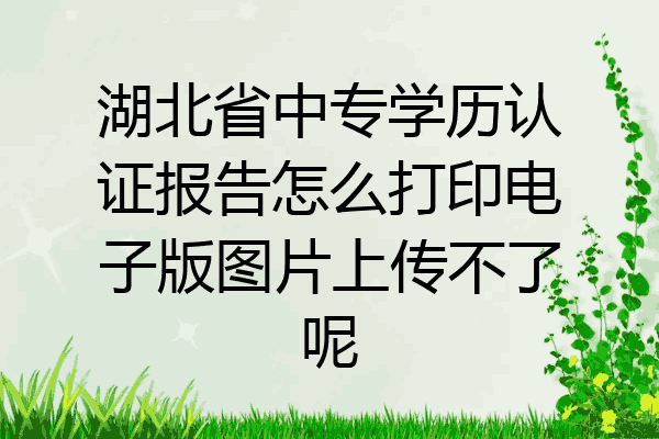 湖北省中专学历认证报告怎么打印电子版图片上传不了呢