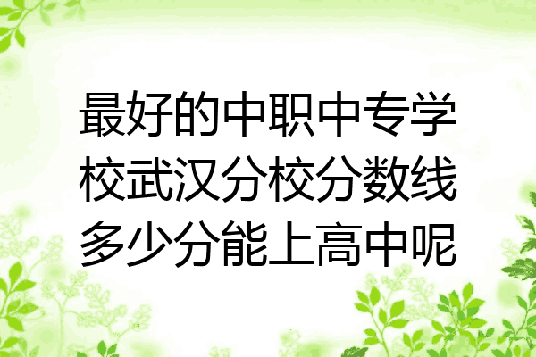 最好的中职中专学校武汉分校分数线多少分能上高中呢