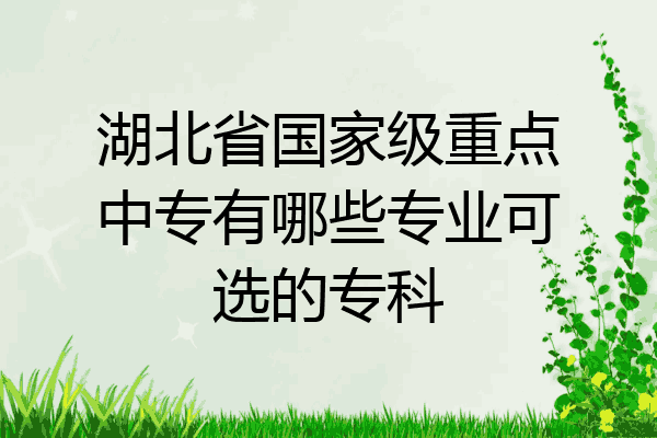 湖北省国家级重点中专有哪些专业可选的专科