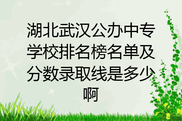 湖北武汉公办中专学校排名榜名单及分数录取线是多少啊