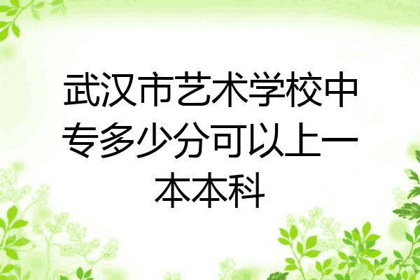武汉市艺术学校中专多少分可以上一本本科