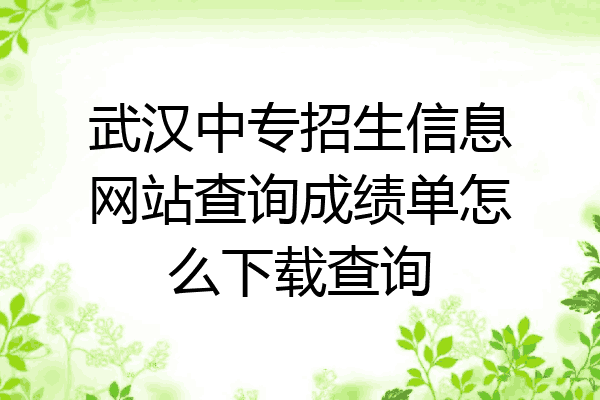 武汉中专招生信息网站查询成绩单怎么下载查询