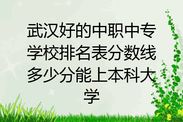 武汉好的中职中专学校排名表分数线多少分能上本科大学