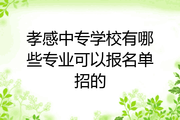 孝感中专学校有哪些专业可以报名单招的