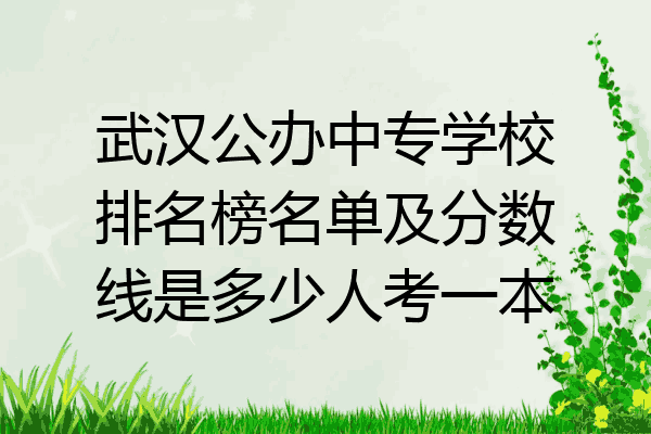 武汉公办中专学校排名榜名单及分数线是多少人考一本