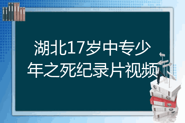 湖北17岁中专少年之死纪录片视频