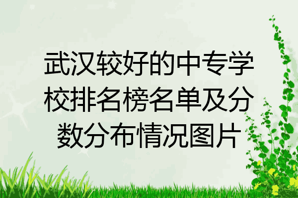 武汉较好的中专学校排名榜名单及分数分布情况图片