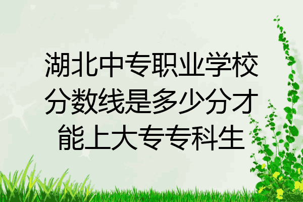湖北中专职业学校分数线是多少分才能上大专专科生